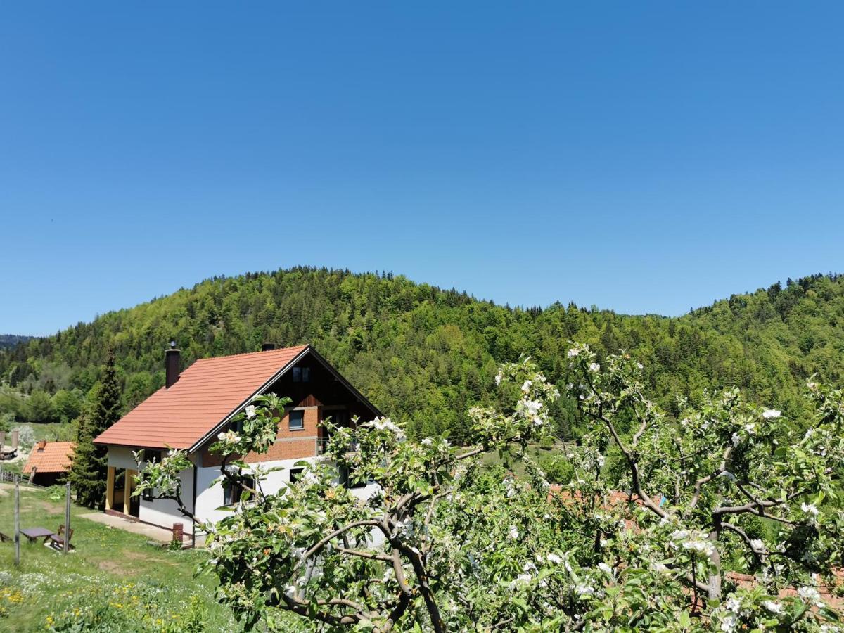 Planinski Mir Zaovine Exterior photo