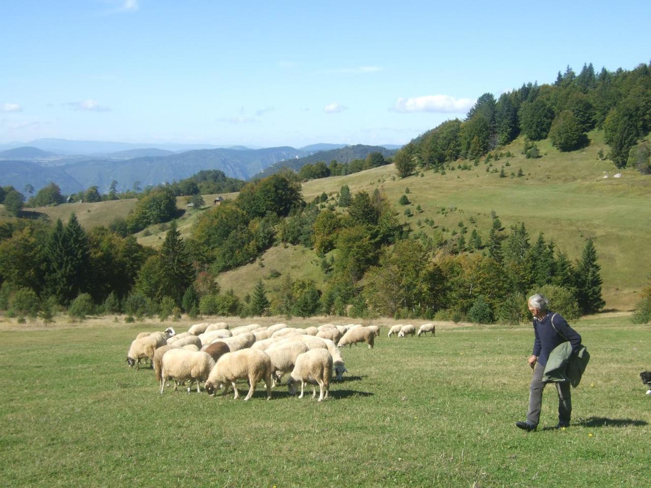 Planinski Mir Zaovine Exterior photo